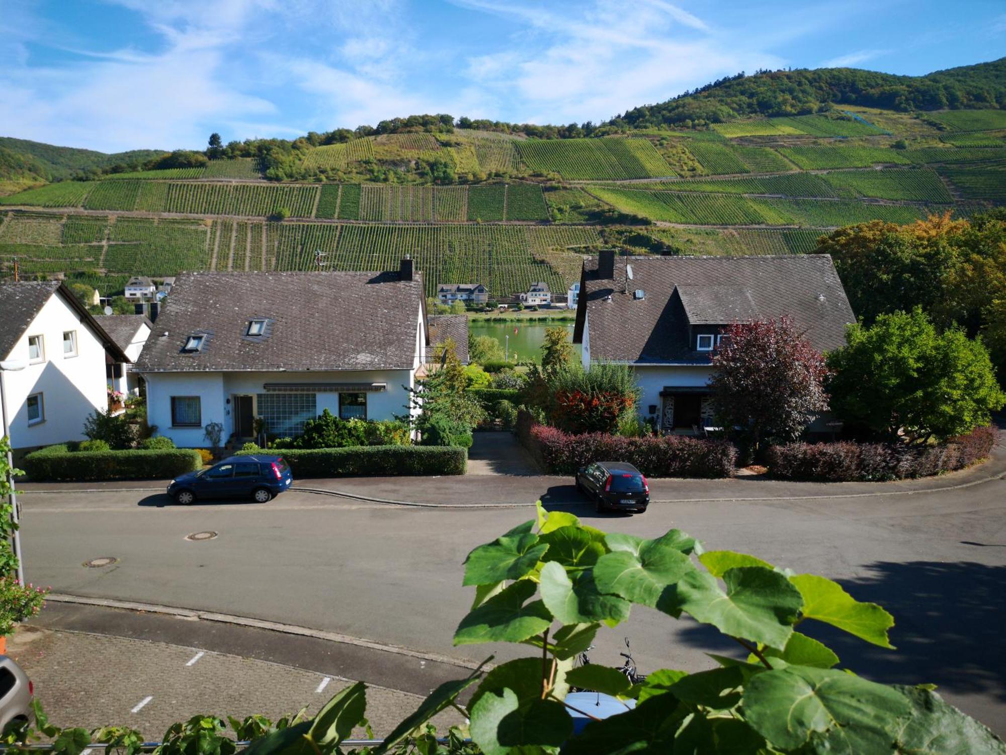 Appart-Pension-Schier Zell an der Mosel Exterior photo